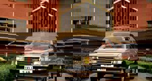 Stellar (1983 - 1991)